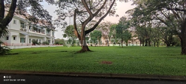 Kavling Alam Sutera Cluster Sutera Telaga Biru Kavling Alam Sutera Cluster Sutera Telaga Biru