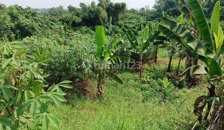 Tanah Parung Panjang desa Jagabaga cocok buat gudang, perumahan kecil, nego sampe diil 2