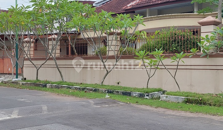 Disewakan rumah kost  1