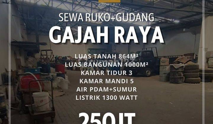 Disewakan Ruko dan Gudang di Gajah Raya Semarang 1