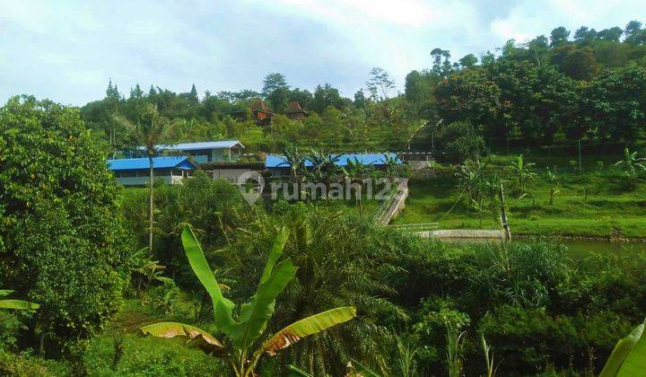 Jual Tanah Ada Sumber Air Panas di Puncak Bogor B M  2