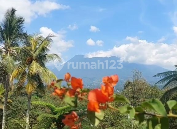 Dijual Dibawah NJOP Rumah Villa di Puncak, Cilember, Cisarua