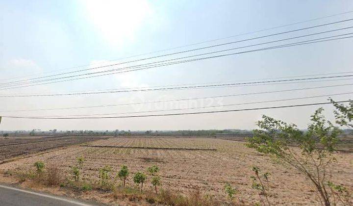 Lahan SHM Strategis Jalan Raya Balongpanggang Gresik 1