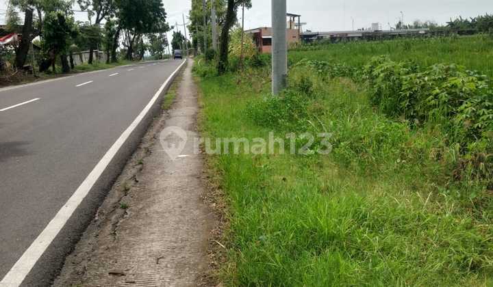 Strategic Land 0 Mantup Lamongan Main Road, Suitable for Business Strategic Land 0 Mantup Lamongan Main Road, Suitable for Business
