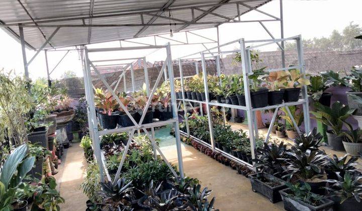 Dijual Rumah di Mojokerto Murah Full Renovasi  5