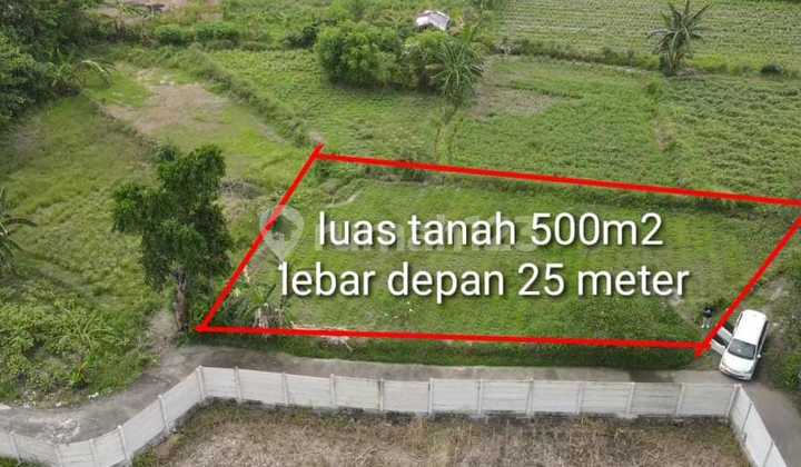 Tanah View Kebun Bunga Dan Laut Lingkungan Resto 4