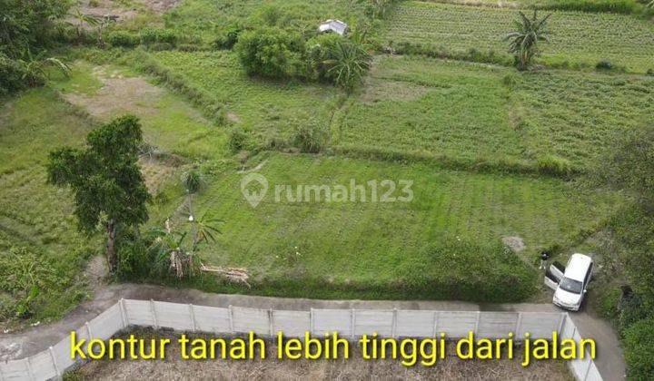 Tanah View Kebun Bunga Dan Laut Lingkungan Resto 5