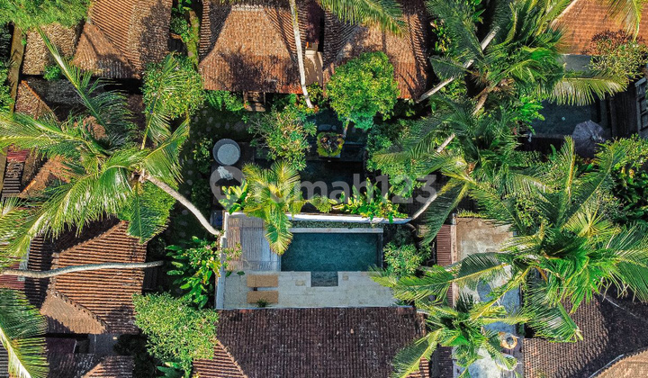 Stunning 5 bedrooms villa for yearly rental or leasehold located in central Ubud This villa located in central Ubud, gives you access the most desirable Ubud area, restaurants, bars and many other tourists attractions 2