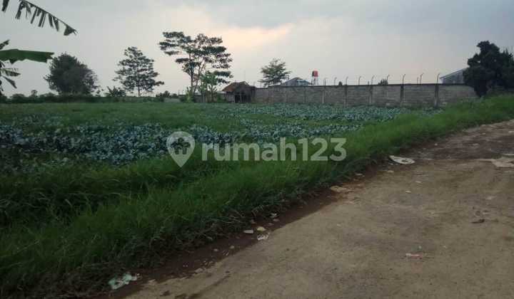 Dijual Tanah Parongpong di Belakang Setiabudi Regency 1