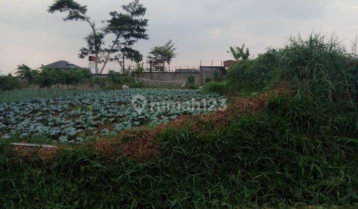 Dijual Tanah Parongpong di Belakang Setiabudi Regency 3