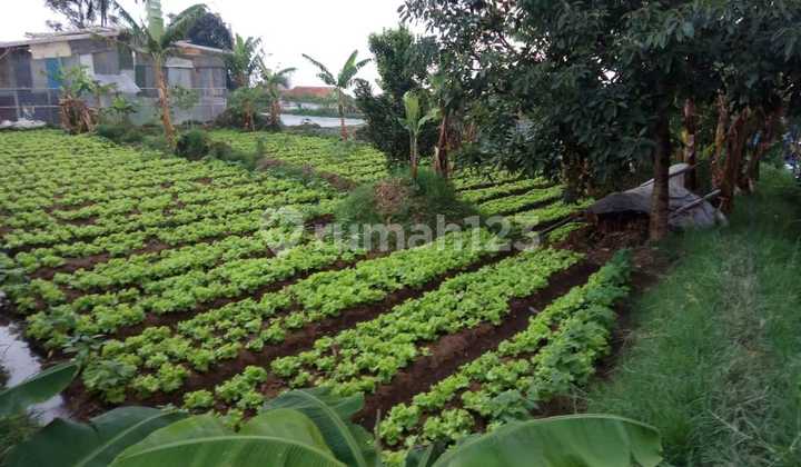 Dijual Tanah Parongpong di Belakang Setiabudi Regency 7