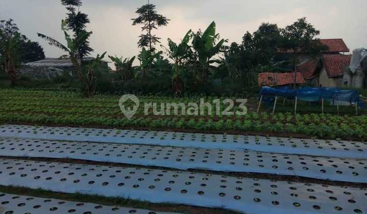 Dijual Tanah Parongpong di Belakang Setiabudi Regency 11