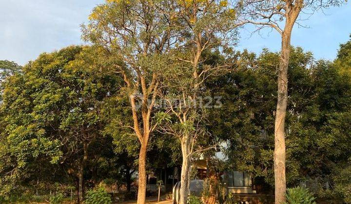 Kavling Dan Rumah Siap Dibangun Di Ciangsana 2