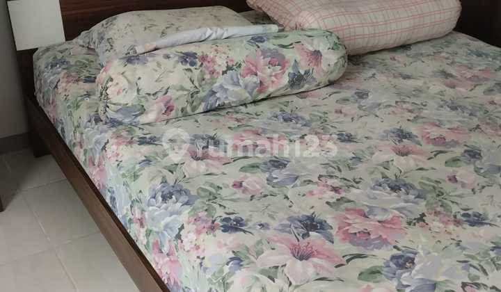 For Rent SILKWOOD Alam Sutera Apartment OAK TOWER 2