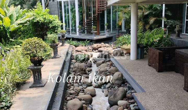 Rumah Luas Asri di Bintaro, Tangerang Selatan 2