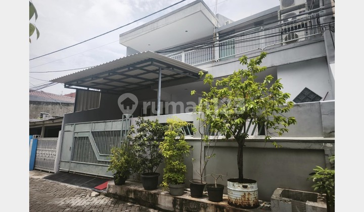 Dijual Cepat Rumah Bagus SHM di Sunter Mas, Sunter Jakarta Utara Dijual Cepat Rumah Bagus SHM di Sunter Mas, Sunter Jakarta Utara