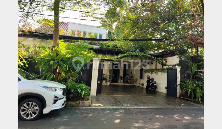 Rumah Ada Kolam Renang di Menteng Jakarta Pusat (Sebelah Rumah Abu Rizal Bakrie) Rumah Ada Kolam Renang di Menteng Jakarta Pusat (Sebelah Rumah Abu Rizal Bakrie)