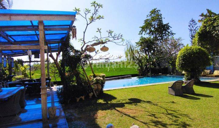 Villa At Berawa Canggu For Sale Unblock View Padifield Downprice! 2