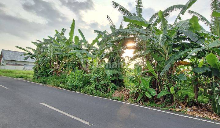 Cheap Land In Padonan Canggu 2