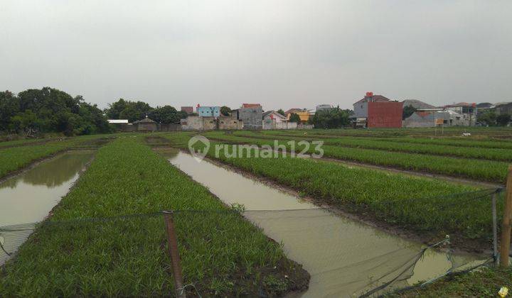 Dijual Tanah sawah 1