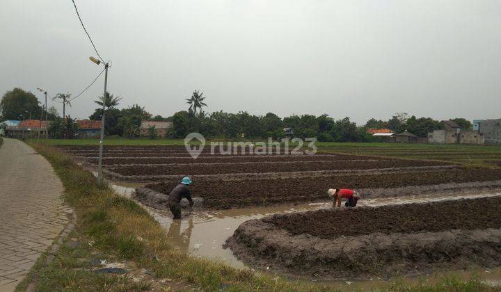 Dijual Tanah sawah 2