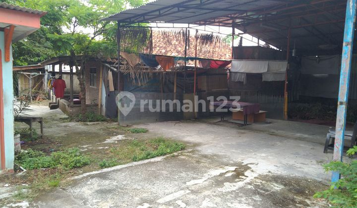 Tanah disewakan 3