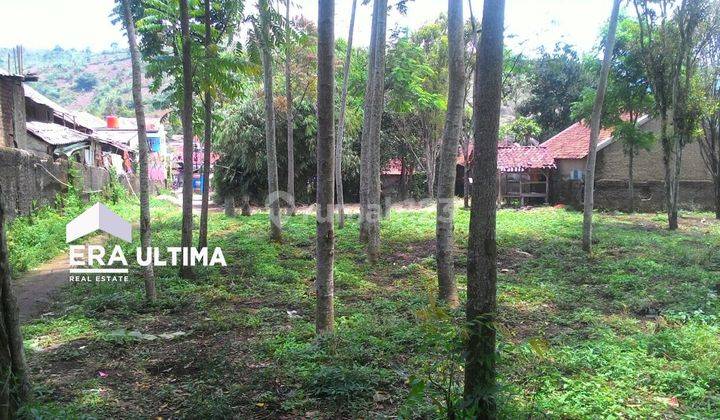 Dijual Cepat Tanah Murah di Nagreg 3