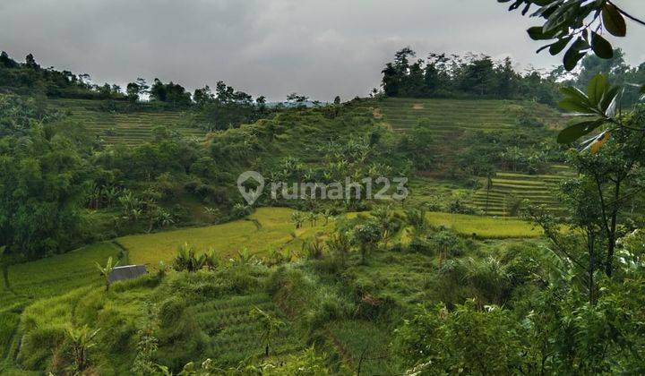 Dijual Cepat Tanah di Cikalong 3
