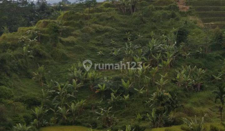 Dijual Cepat Tanah di Cikalong 2