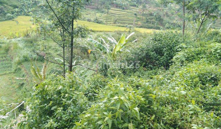 Dijual Cepat Tanah di Cikalong 7