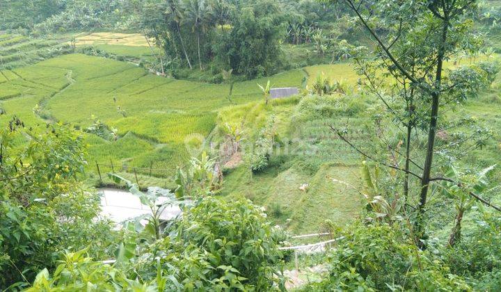Dijual Cepat Tanah di Cikalong 8