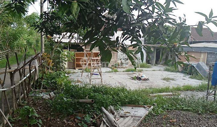 Tanah Siap Bangun Cocok Untuk Kos-kosan Lokasi Strategis Di Dalung Badung 1