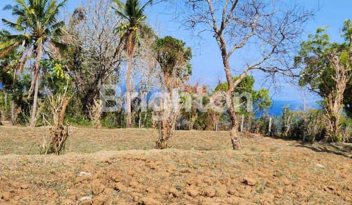 Tanah Sangat Premium View Pantai Luas 7000m2 di desa Bugbug Karang asem , Bali.  2