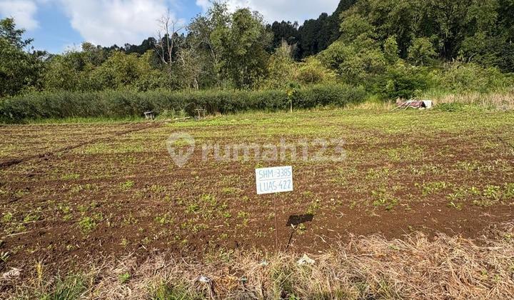 Tanah Kapling untuk Hunian di Baturiti Dekat Bedugul Bali
