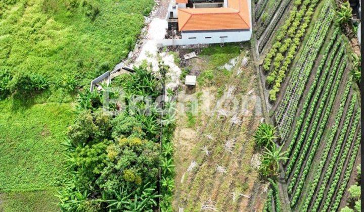 Tanah Eksklusif Lingkungan Villa Di Kerobokan Disewakan Long Leasehol Di Jln Raya Kesambi - Badung 1
