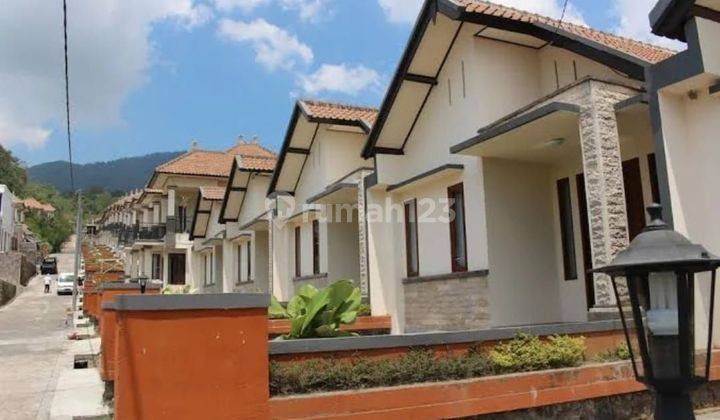 2 Unit Villa Di Kawasan Hotel Dan Vil Clv Bedugul  2