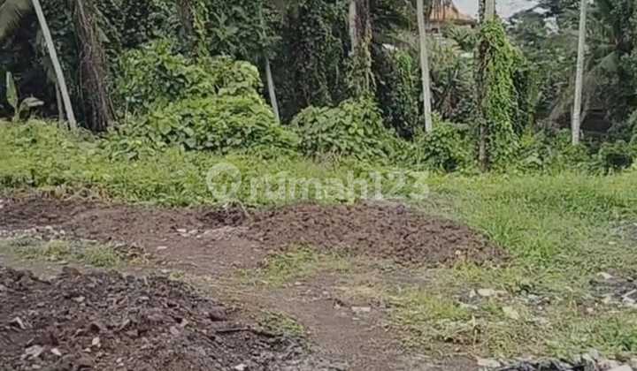Tanah Terasering 2163m2 Eksklusif Area Villa Di Tirta Tawar Ubud