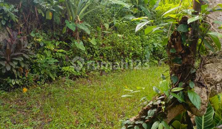 Lease Hold Tanah di Ubud, Dekat Jalan Raya Monkey Forest