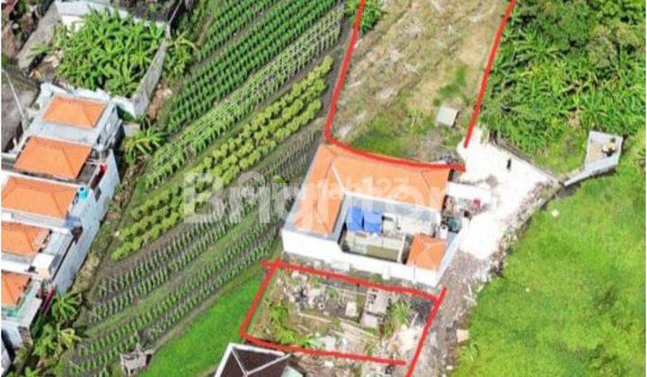 Tanah Eksklusif Lingkungan Villa Di Kerobokan Disewakan Long Leasehol Di Jln Raya Kesambi - Badung 2
