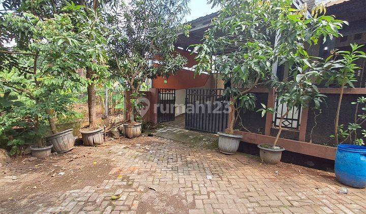 Sewa Rumah Strategis Dekat Undip Tembalang