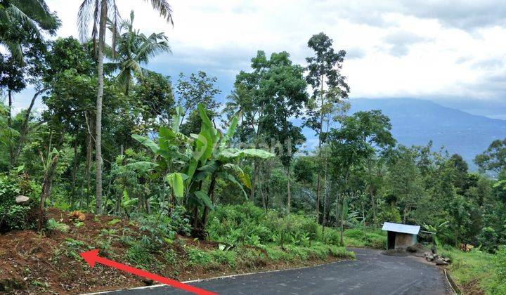 Tanah 456 m² di Blotongan SHM depan UKSW baru 1