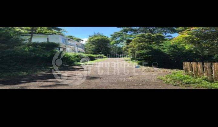Tanah Luas Super Asri Cocok Untuk Aset Dijual di Dago Bandung 1