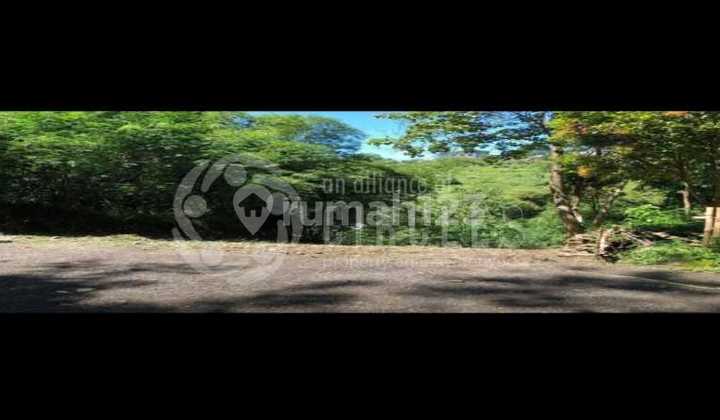 Tanah Luas Super Asri Cocok Untuk Aset Dijual di Dago Bandung 2