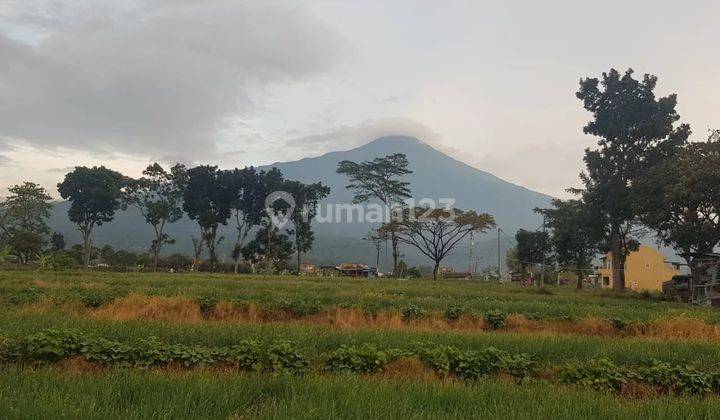 Dijual Tanah Lokasi Istimewa di Pacet Jawa Timur 2