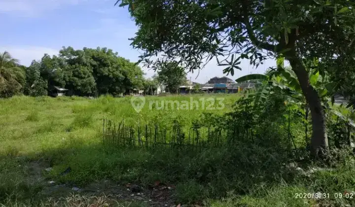 Tanah Kavling Diperum Bumi Cikampek Baru Luas 4476 M2 Sertifikat  8