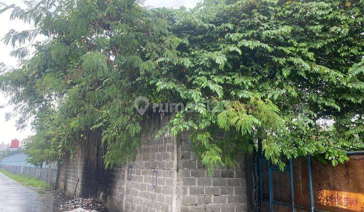 Tanah Luas 4164m Disewakan Min 2 Tahun di Talaga Cikupa Tangerang 2