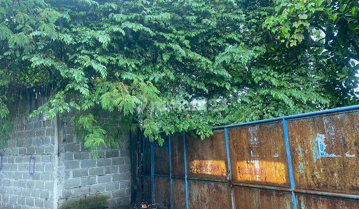 Tanah Luas 4164m Disewakan Min 2 Tahun di Talaga Cikupa Tangerang 4