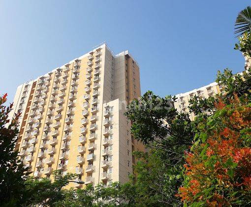 Apartemen Greenpalm Dijual Type Studio Lb 21m2 Kosambi Jakbar 1