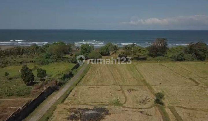 Tanah Bali Yahembang Kangun Dijual 4.300m2 Shm, Zona Pariwisata 2