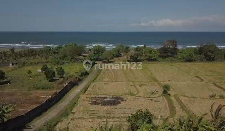 Tanah Bali Yahembang Kangun Dijual 4.300m2 Shm, Zona Pariwisata 1